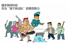 岭东债务清欠服务